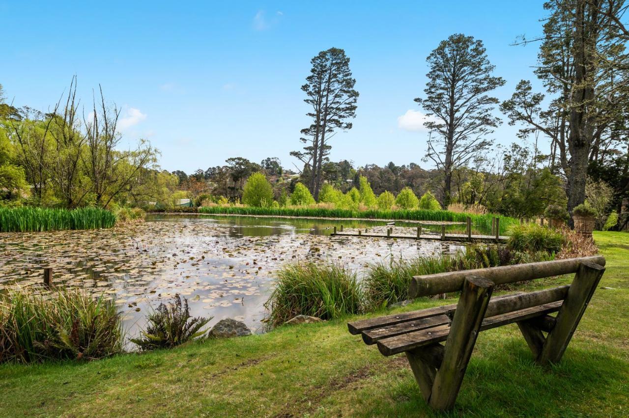 Parklands Country Gardens & Lodges Blue Mountains Блэкхит Экстерьер фото