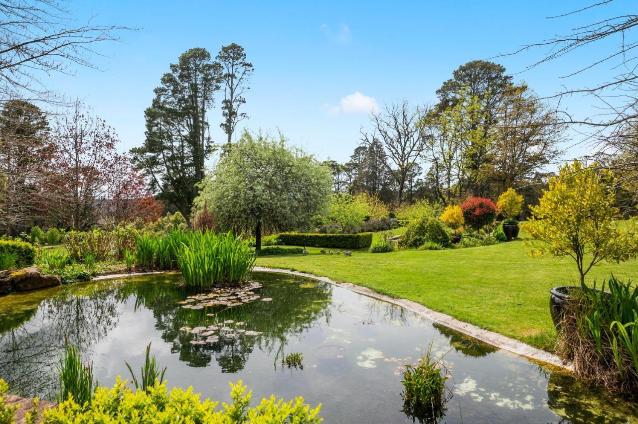 Parklands Country Gardens & Lodges Blue Mountains Блэкхит Экстерьер фото