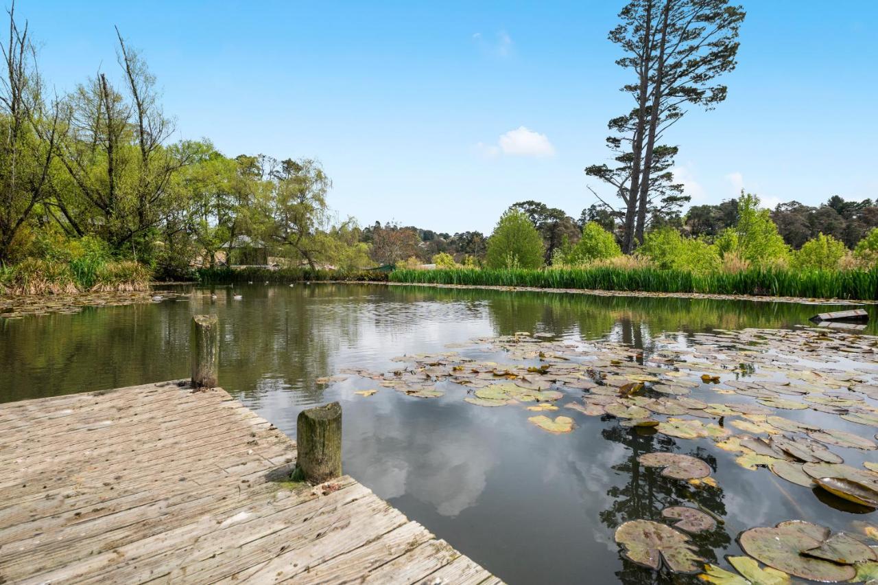 Parklands Country Gardens & Lodges Blue Mountains Блэкхит Экстерьер фото
