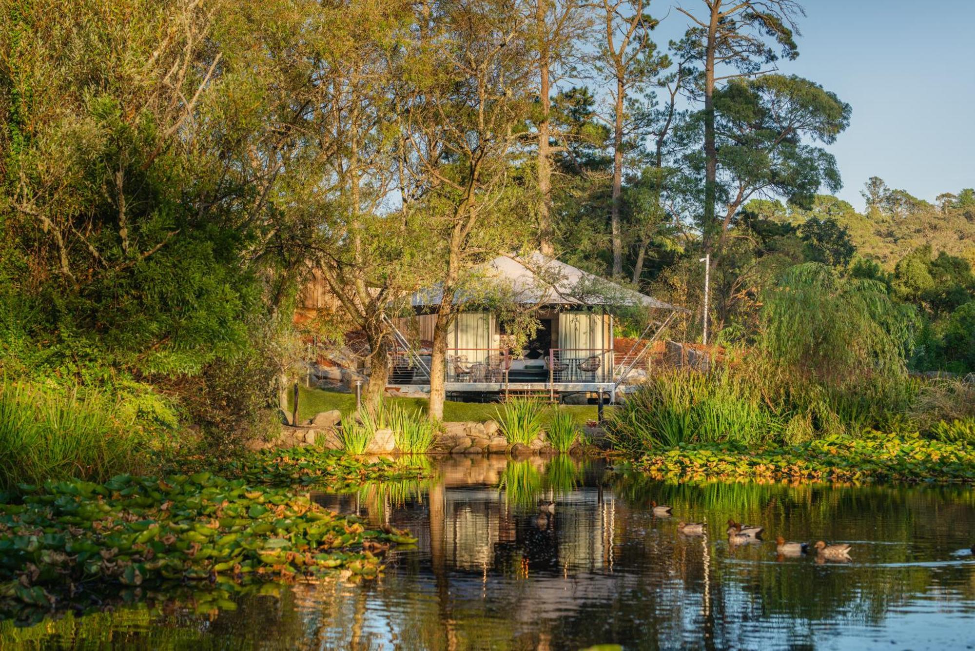 Parklands Country Gardens & Lodges Blue Mountains Блэкхит Экстерьер фото
